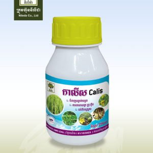 កាលីស. (Calis)