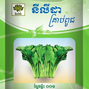 ស្ពៃចង្កឹះ ០០១