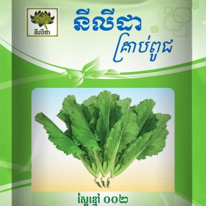 ស្ពៃខ្មៅ ០០២