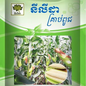 ពោតដំណើប ៩៩F1