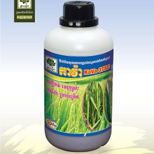 ជីបំប៉នដំណាំស្រូវ (វគ្គ២) . កាវ៉ា37 (KaVa 37SC)