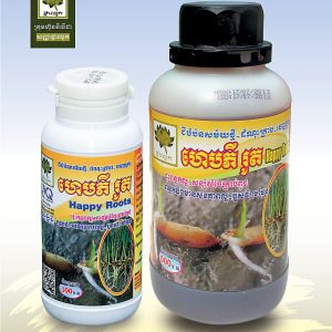 អ័រម៉ូនជំនួយឫសស្រូវ . ហេបភីរូត(Happy Roots-Rice)
