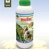 ថ្នាំព្យាបាលជំងឺដំណាំ . អានទីល